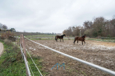 Naturareal - Gefragtes freistehendes Einfamilienhaus mit schönem Garten zum entspannen.