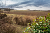 Garten-Aussicht - Ihr Traumhaus mit Weitblick – Eleganz, Komfort & pure Lebensqualität in malerischer Lage!